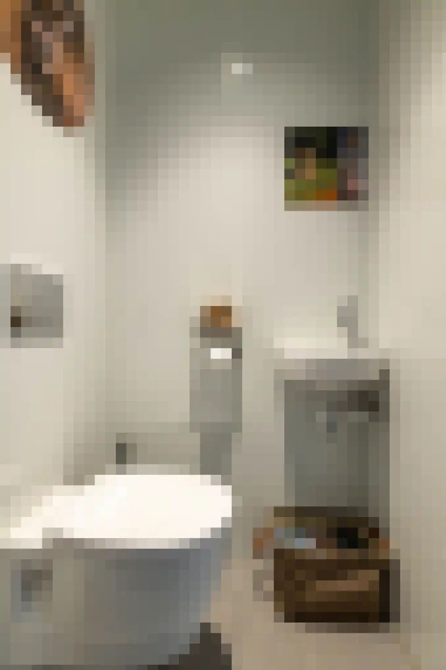 Beukenlaan 109 Appingedam thumbnail 7