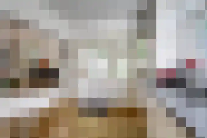 Beukenlaan 11 Baarn thumbnail 12