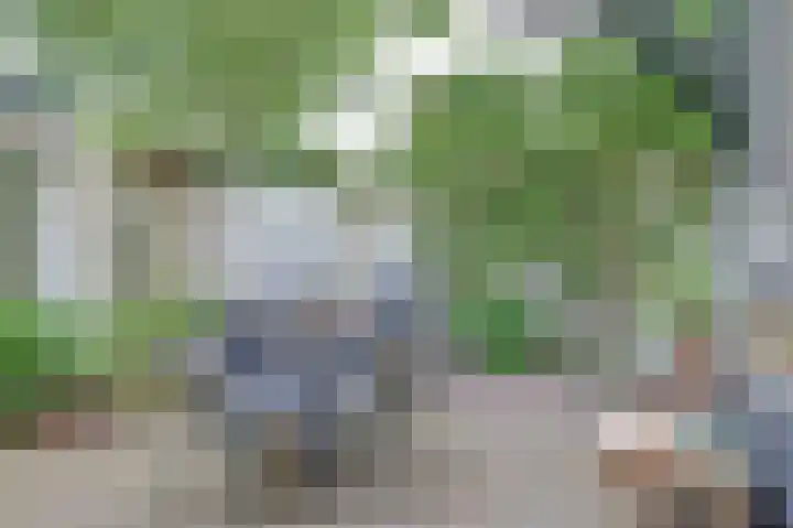 Beukenlaan 11 Baarn thumbnail 21