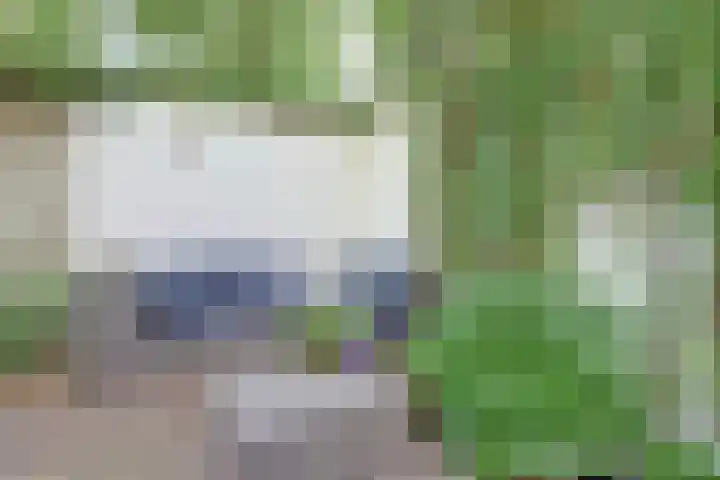 Beukenlaan 11 Baarn thumbnail 22