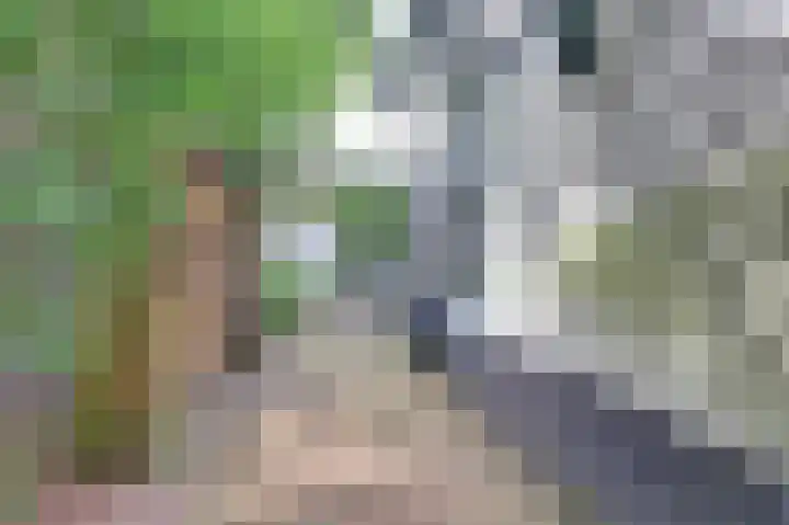 Beukenlaan 11 Baarn thumbnail 23