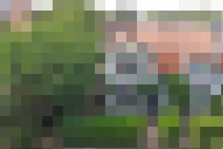 Beukenlaan 11 Baarn thumbnail 25