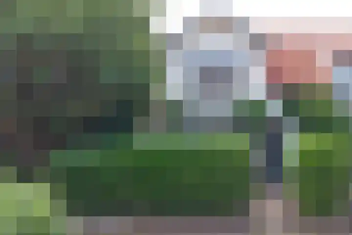 Beukenlaan 11 Baarn thumbnail 29