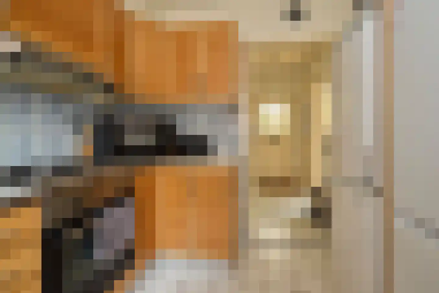 Beukenlaan 11 De Zilk thumbnail 18