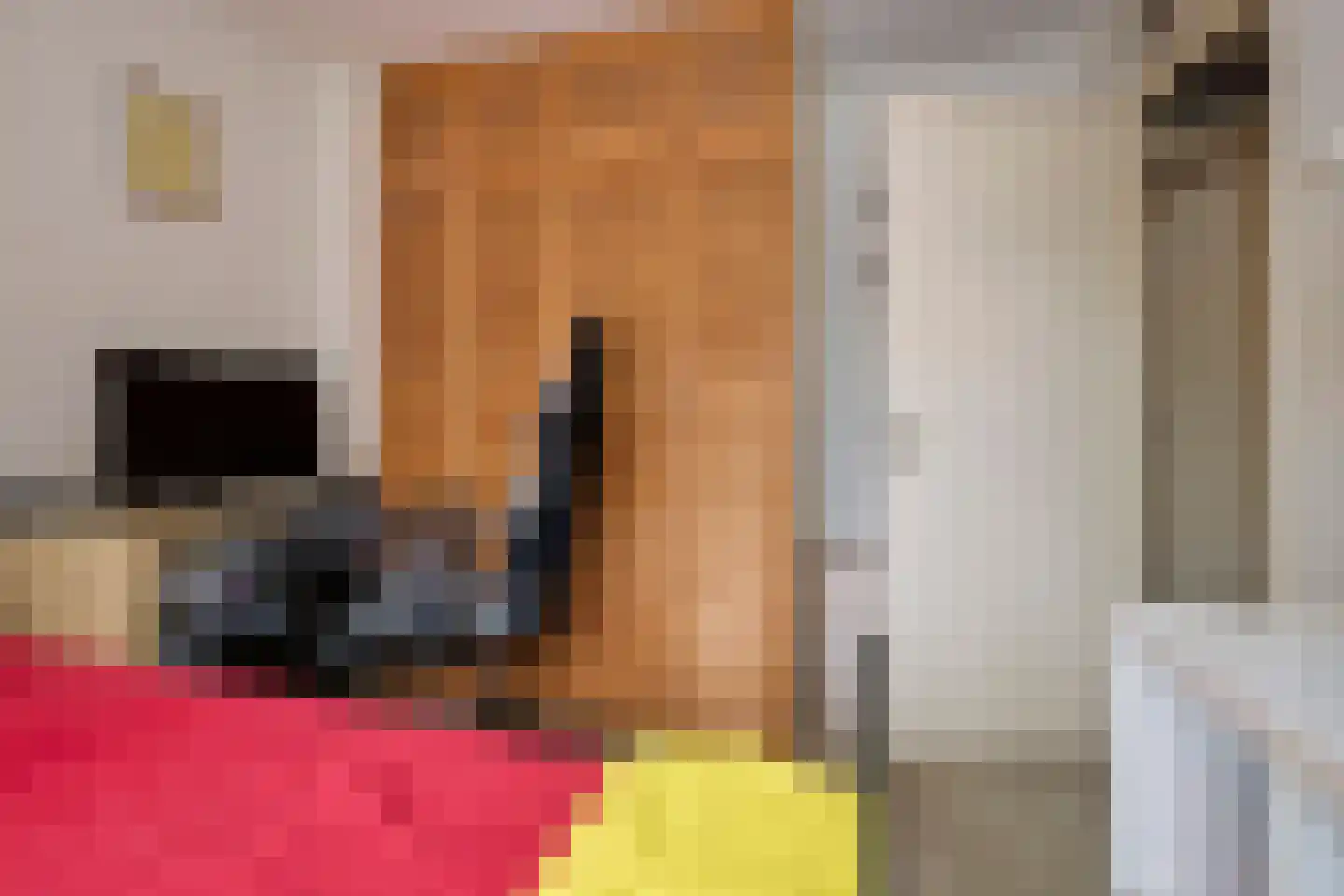 Beukenlaan 11 De Zilk thumbnail 30