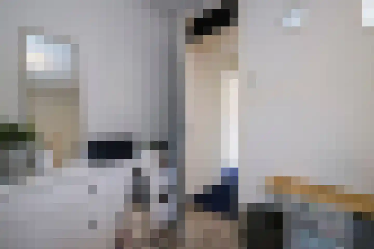 Beukenlaan 11 De Zilk thumbnail 31