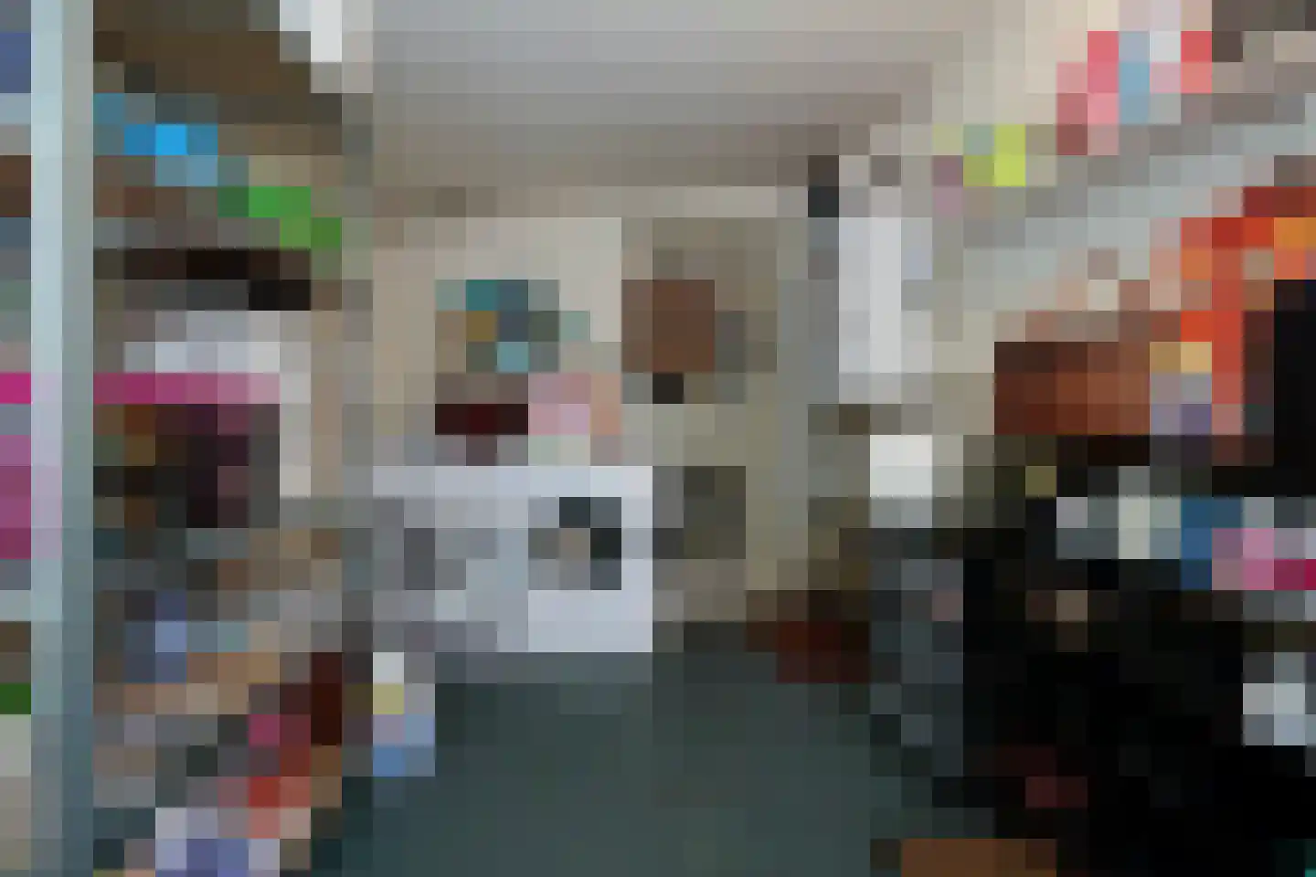 Beukenlaan 11 De Zilk thumbnail 35