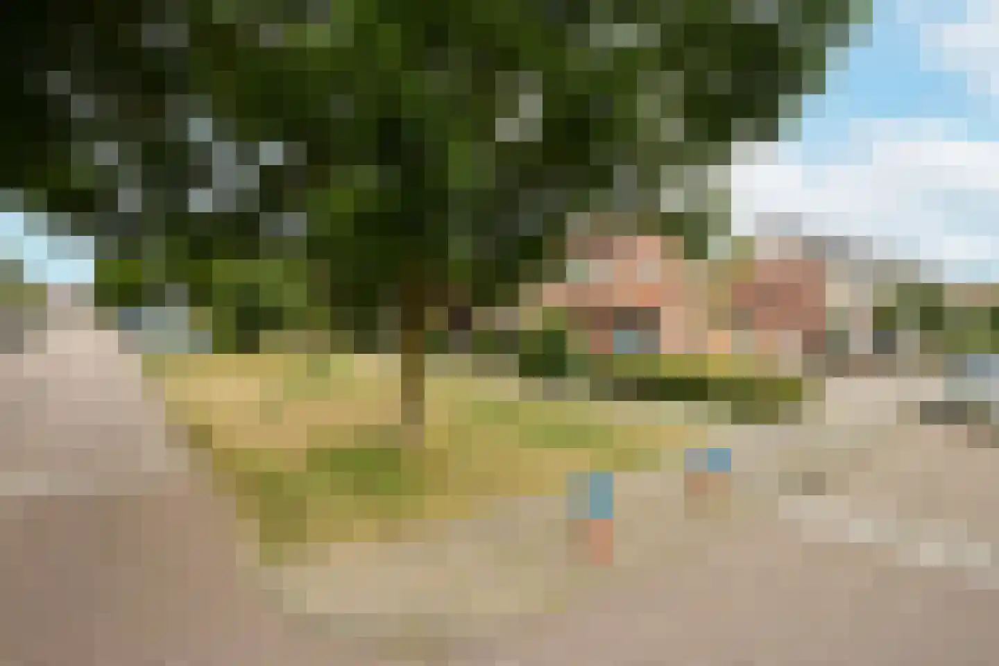 Beukenlaan 11 De Zilk thumbnail 4