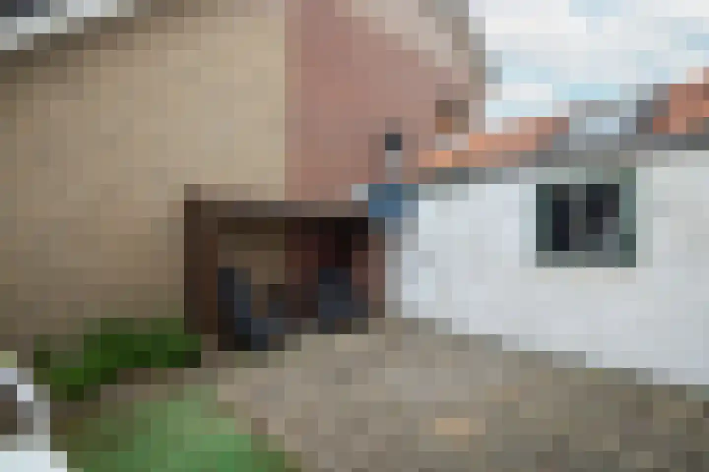 Beukenlaan 11 De Zilk thumbnail 40