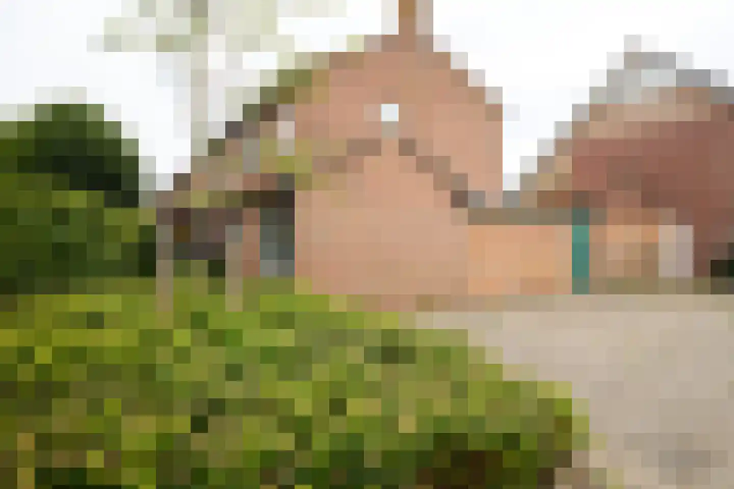 Beukenlaan 11 De Zilk thumbnail 41