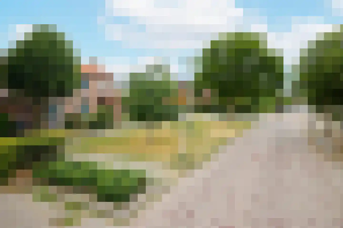 Beukenlaan 11 De Zilk thumbnail 43