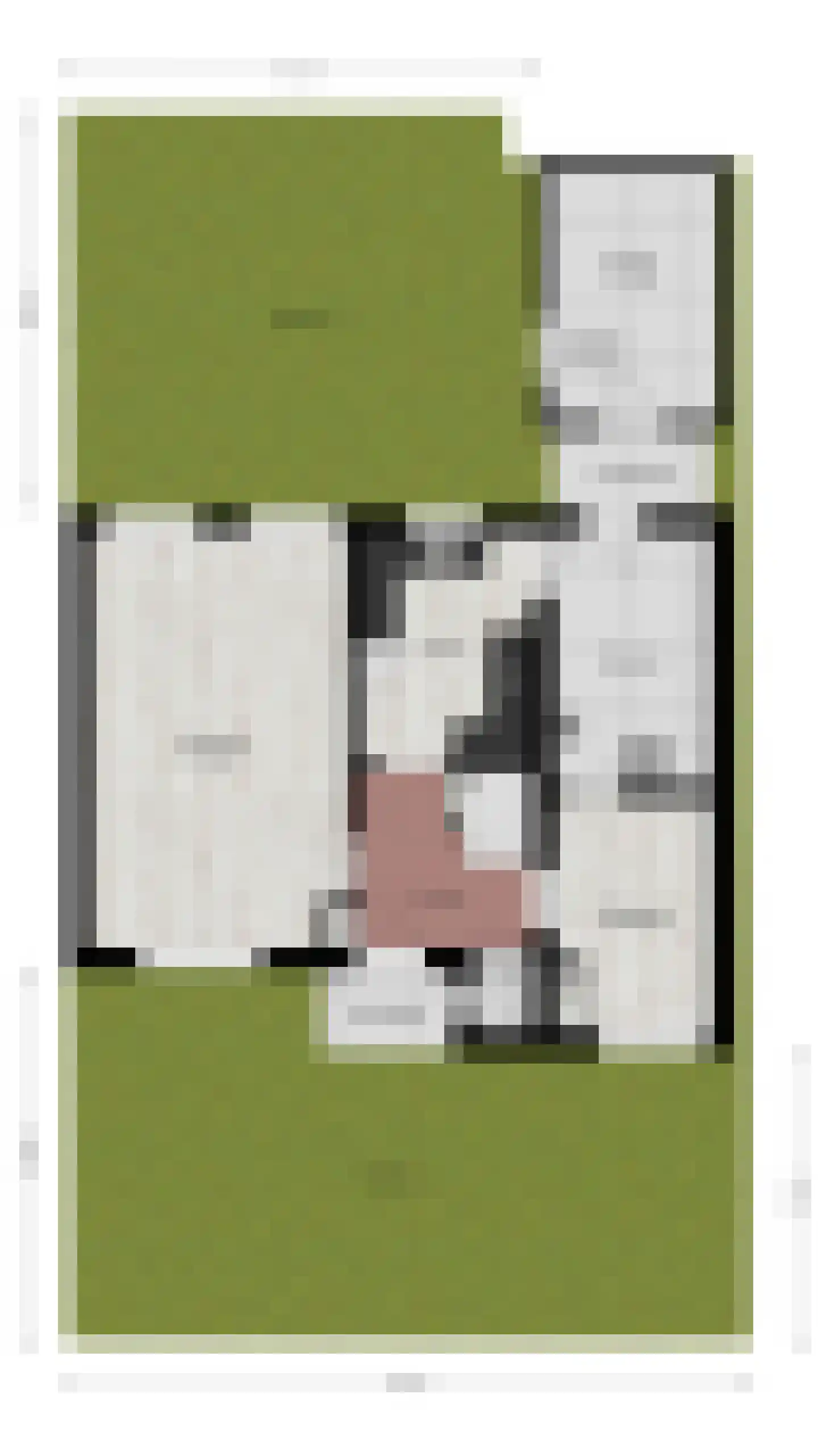 Beukenlaan 11 De Zilk thumbnail 44