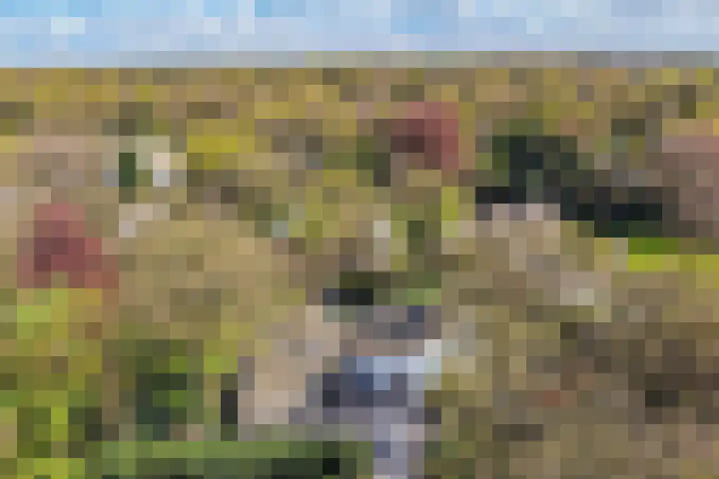 Beukenlaan 11 Huizen thumbnail 12