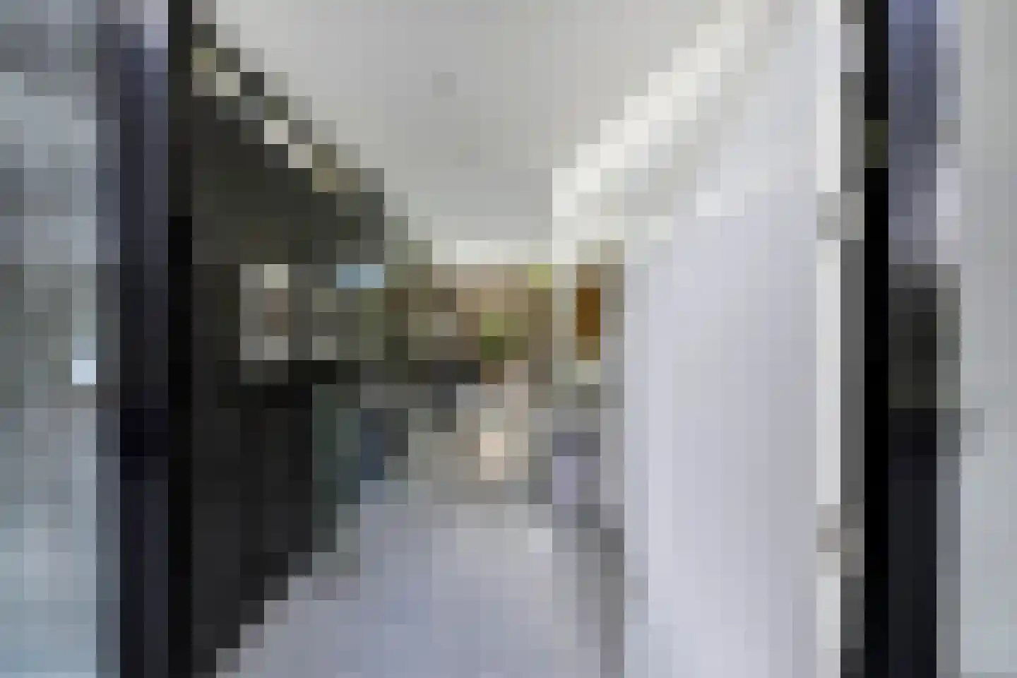 Beukenlaan 11 Huizen thumbnail 13
