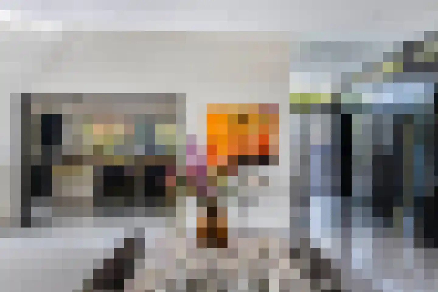 Beukenlaan 11 Huizen thumbnail 18