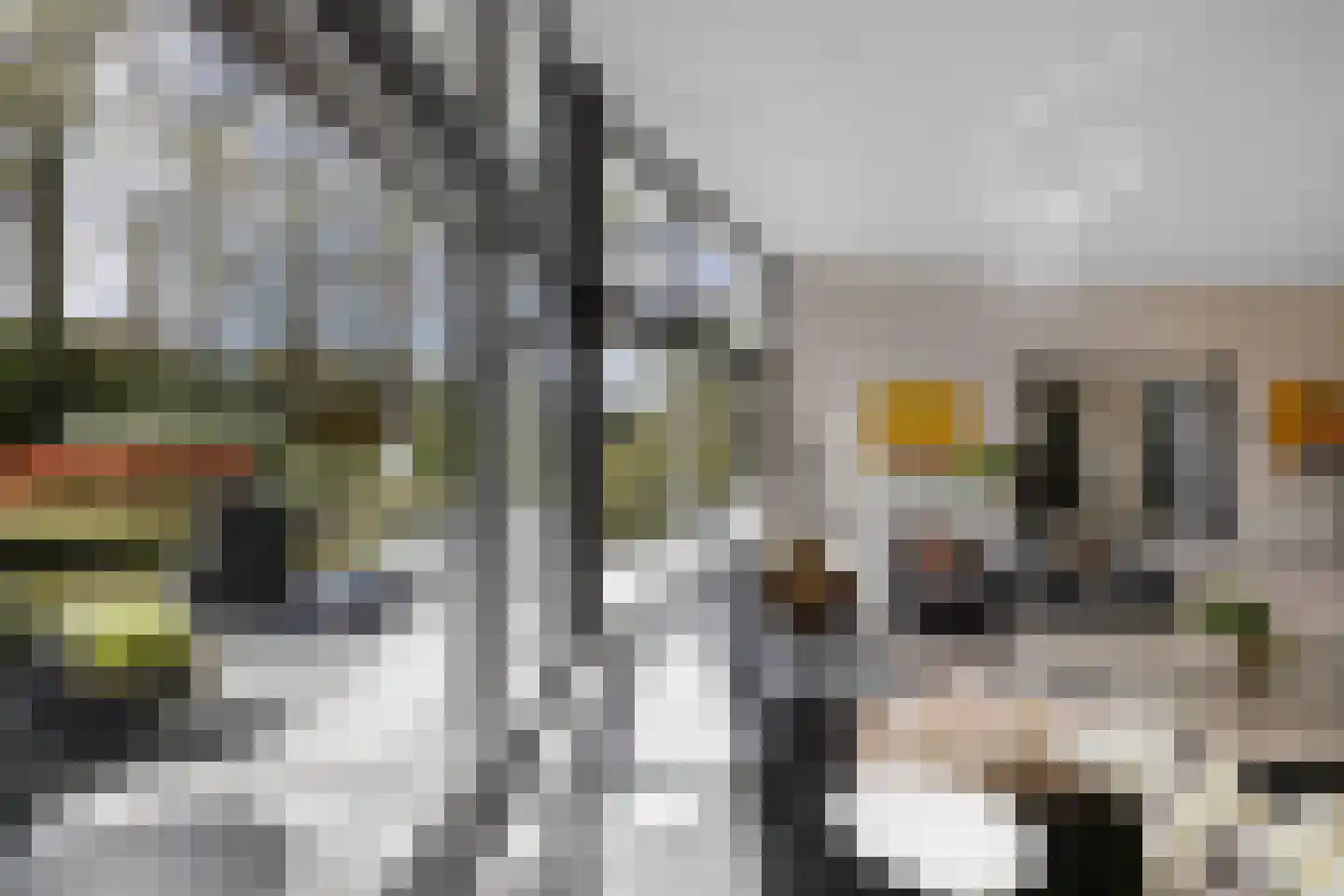Beukenlaan 11 Huizen thumbnail 23