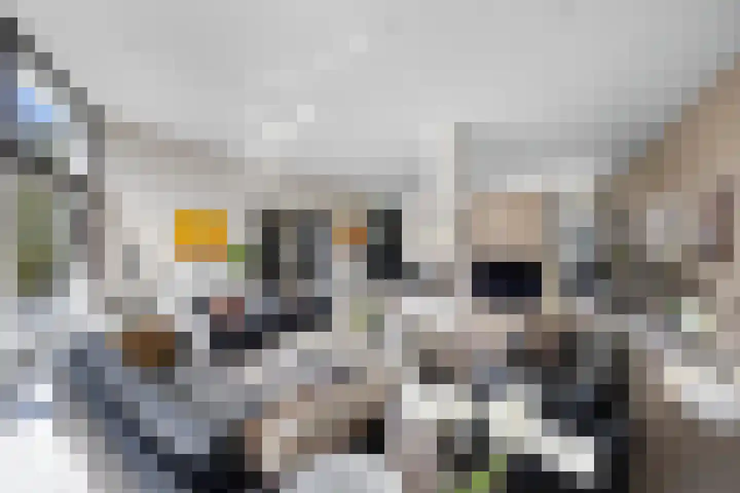 Beukenlaan 11 Huizen thumbnail 25