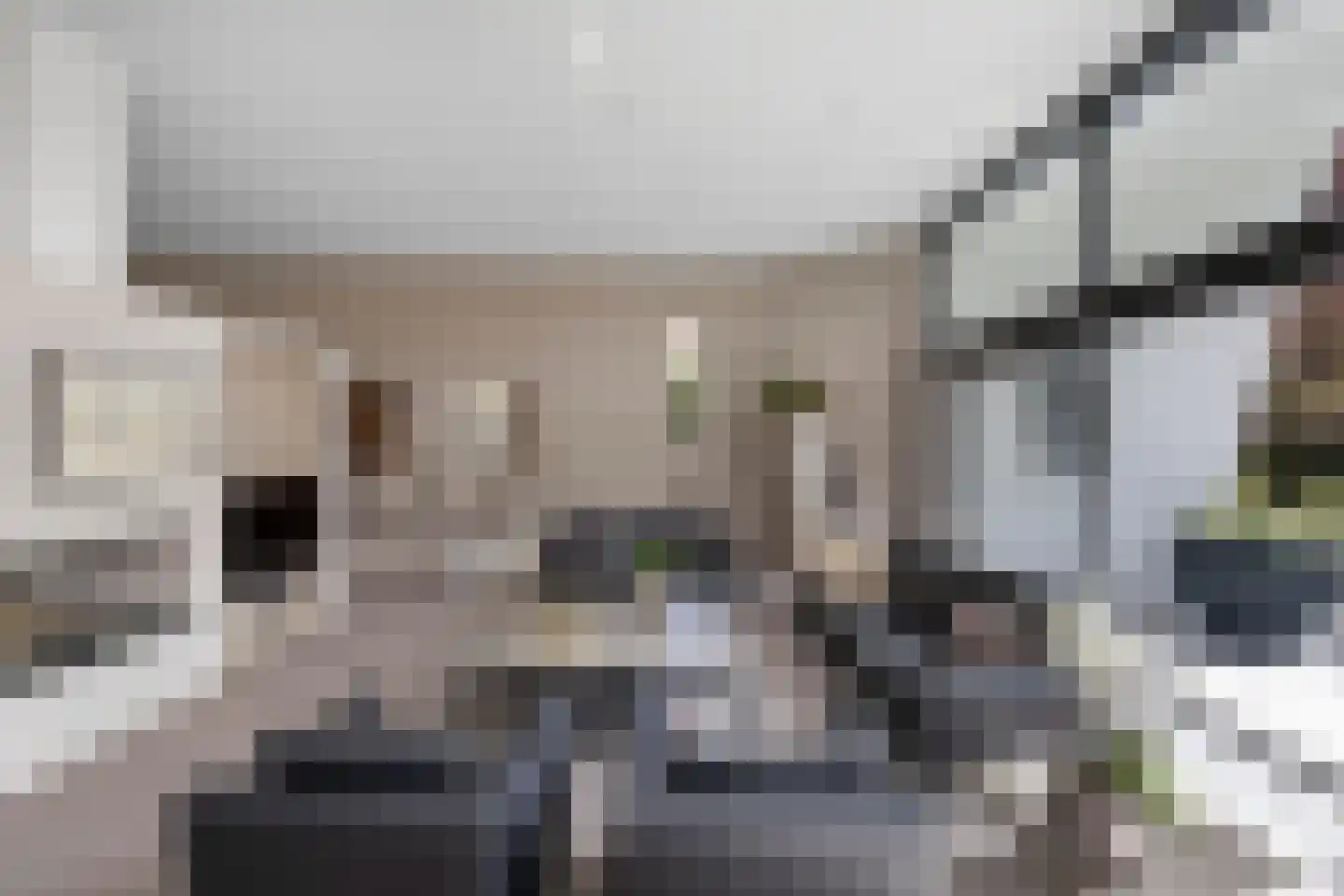 Beukenlaan 11 Huizen thumbnail 28