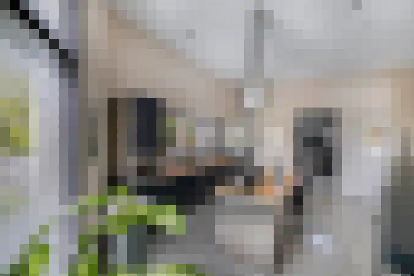 Beukenlaan 11 Huizen thumbnail 34