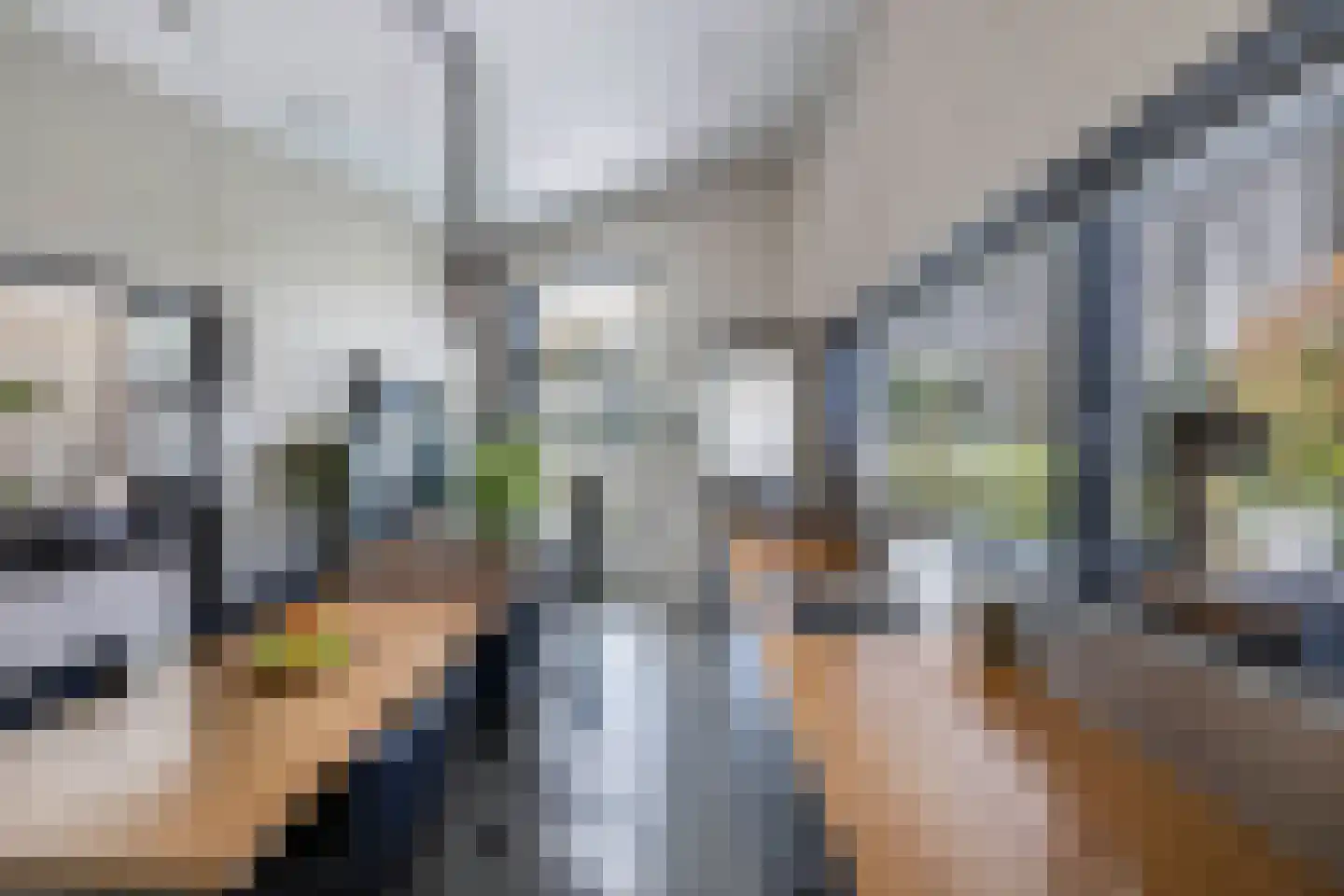 Beukenlaan 11 Huizen thumbnail 35