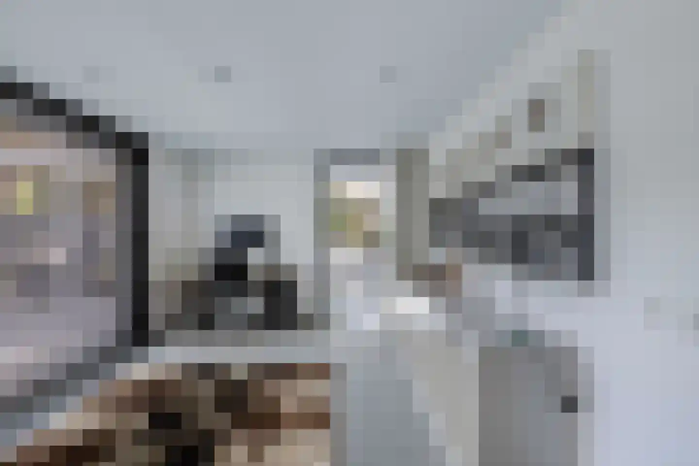 Beukenlaan 11 Huizen thumbnail 39