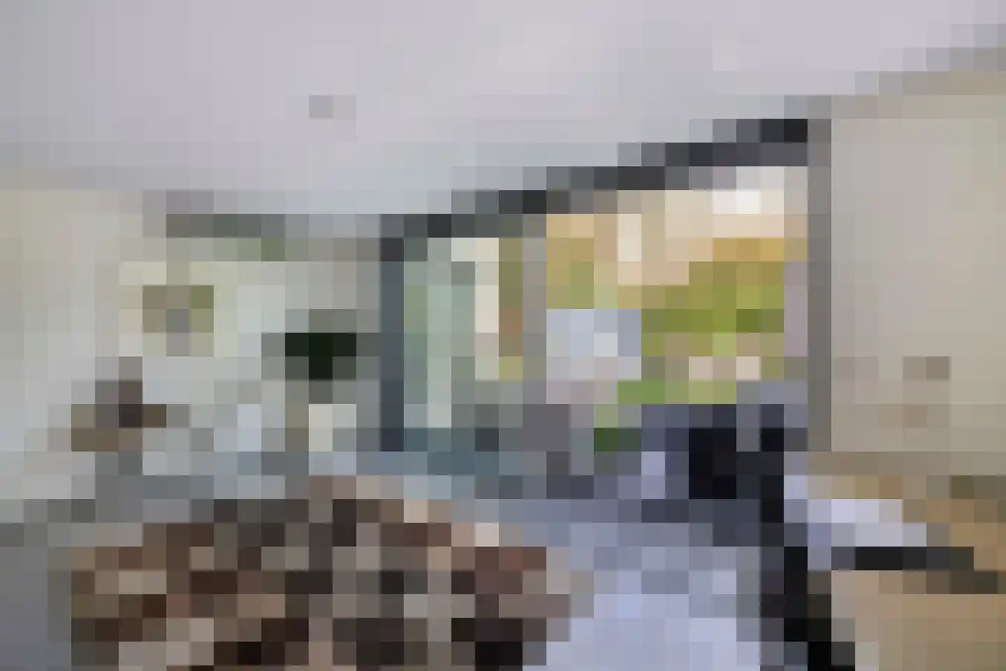 Beukenlaan 11 Huizen thumbnail 43