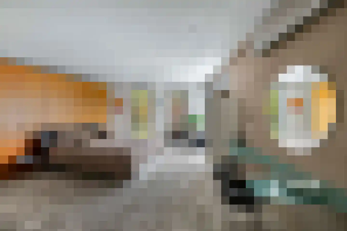 Beukenlaan 11 Huizen thumbnail 46