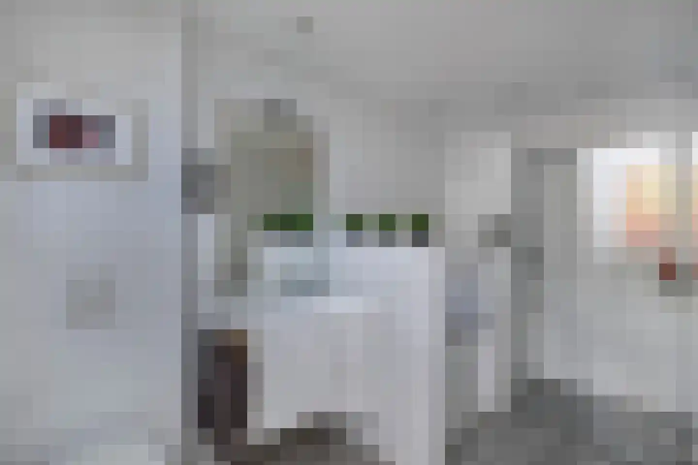 Beukenlaan 11 Huizen thumbnail 54