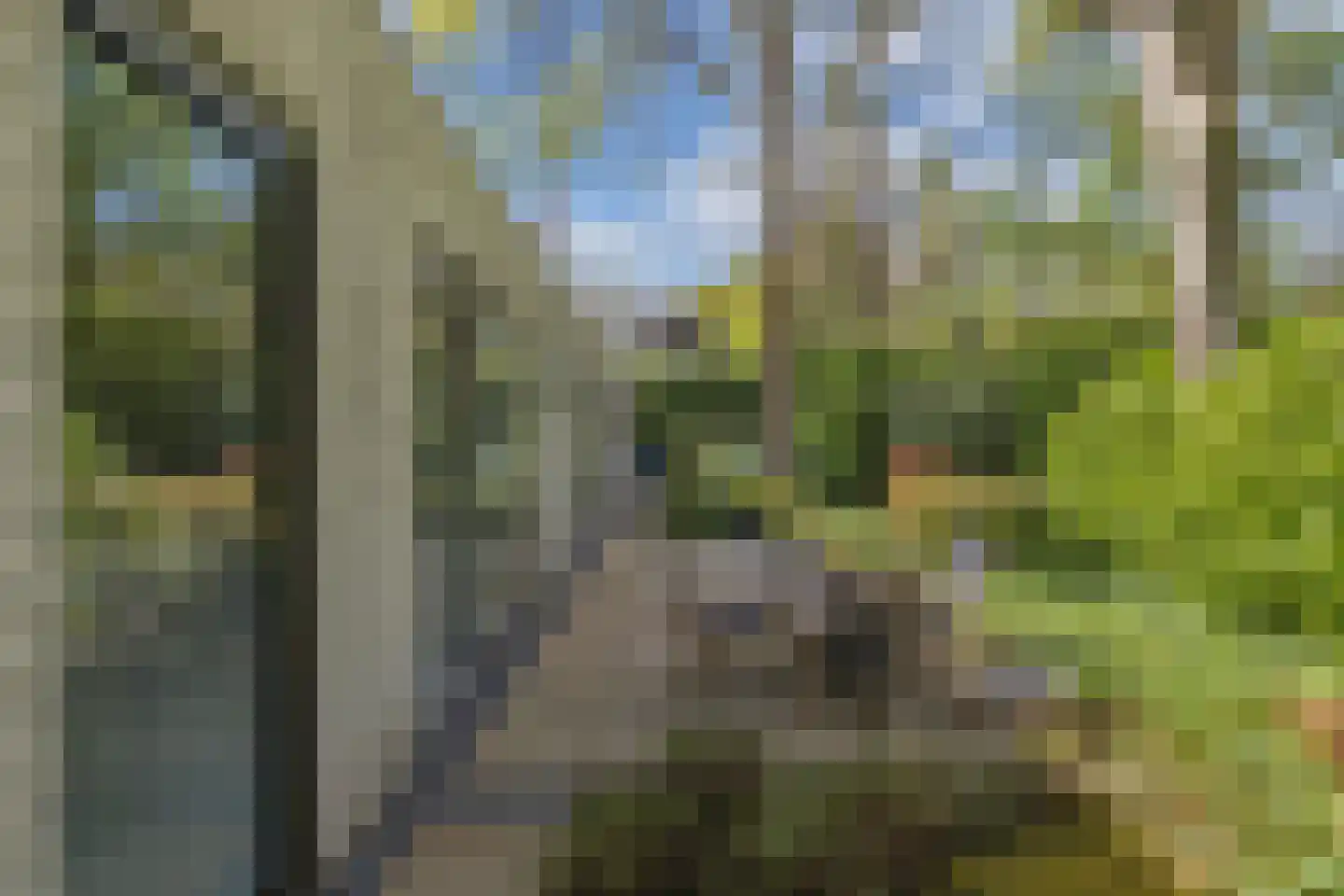 Beukenlaan 11 Huizen thumbnail 61