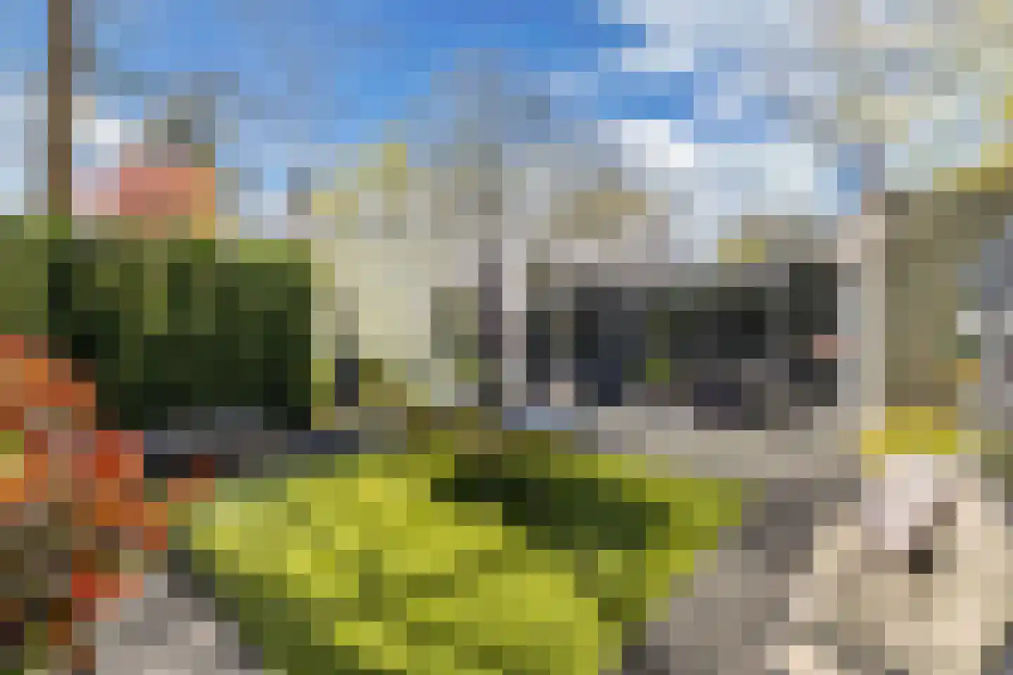 Beukenlaan 11 Huizen thumbnail 63