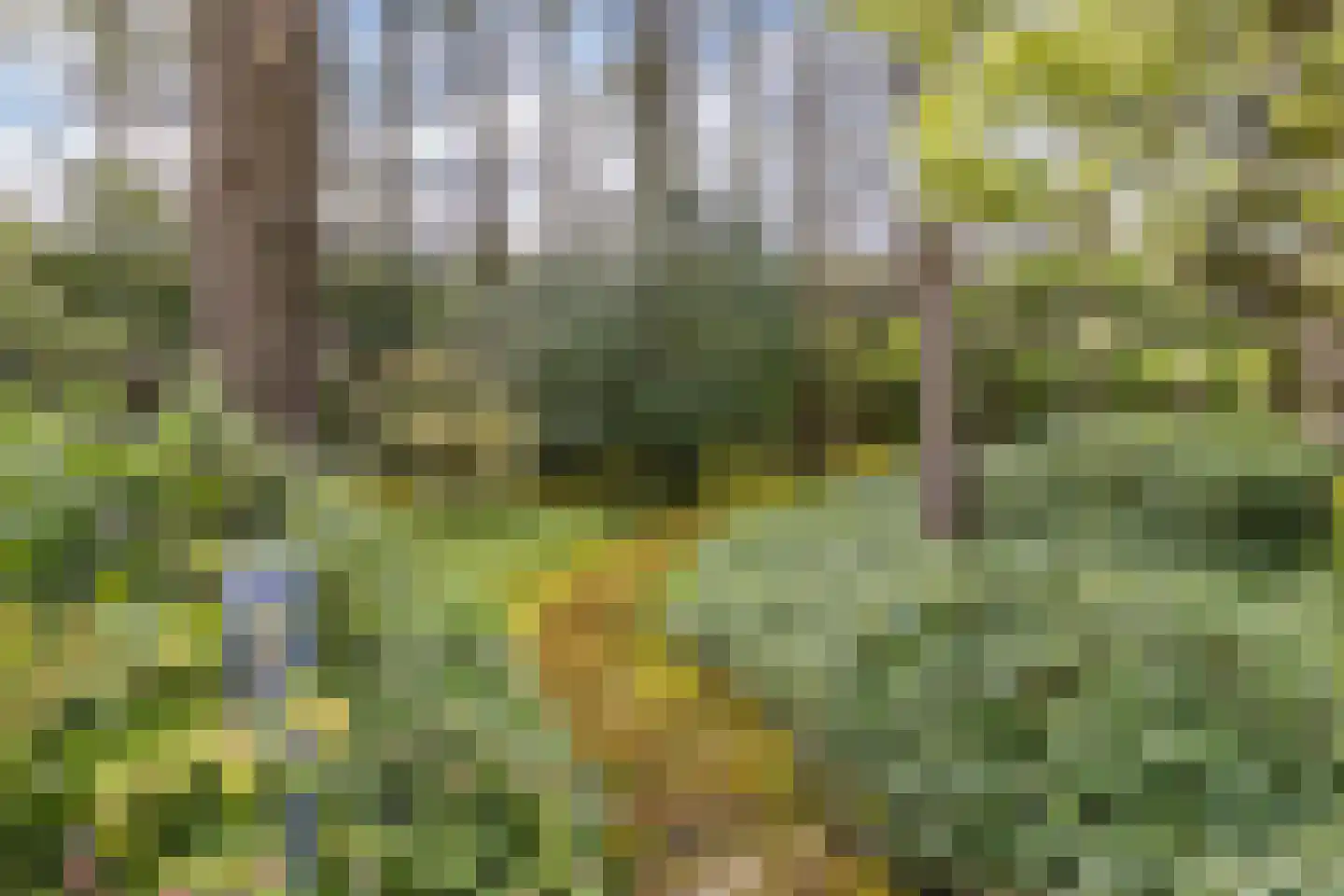 Beukenlaan 11 Huizen thumbnail 66
