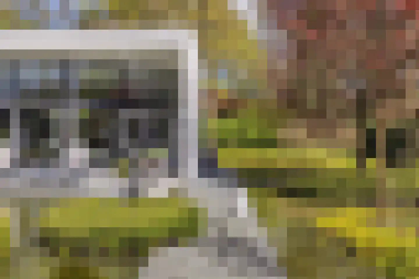 Beukenlaan 11 Huizen thumbnail 72