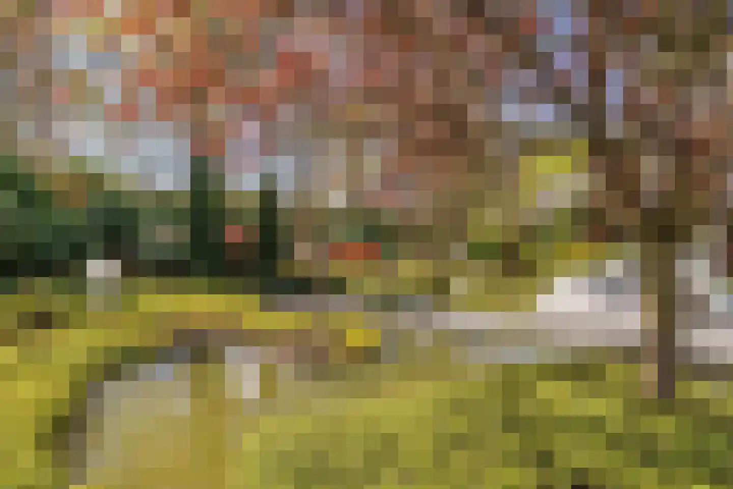 Beukenlaan 11 Huizen thumbnail 76