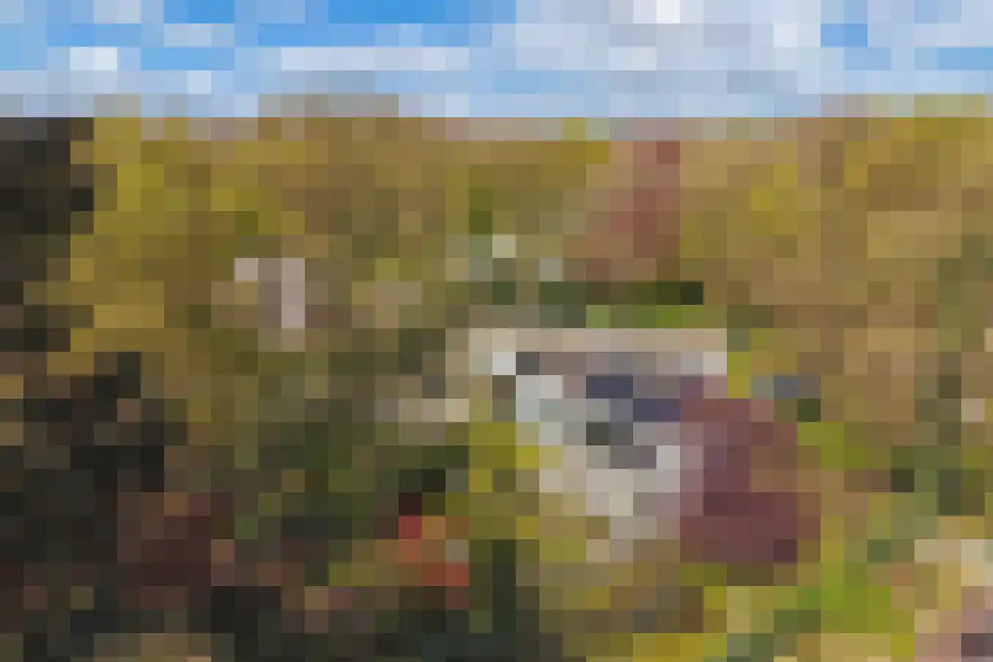 Beukenlaan 11 Huizen thumbnail 78