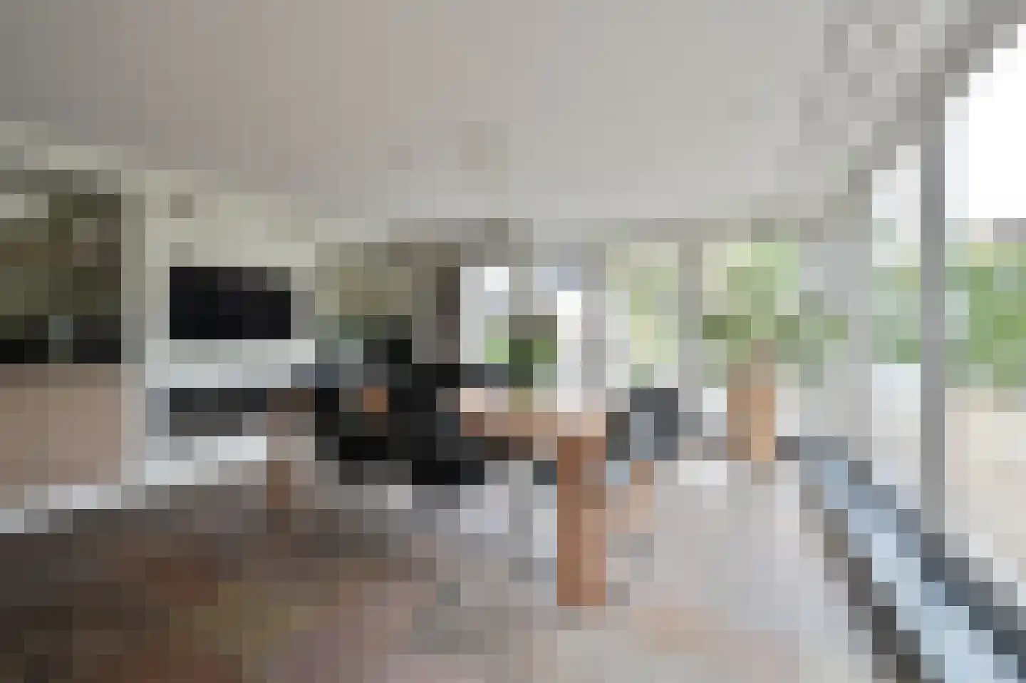 Beukenlaan 11 Soest thumbnail 8