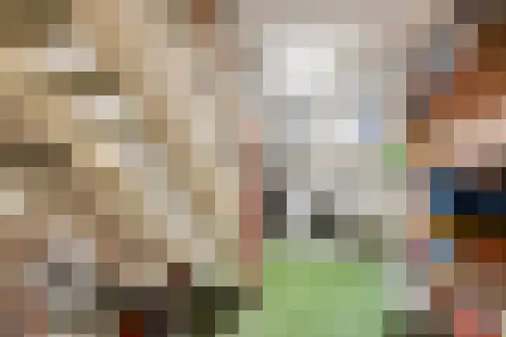 Beukenlaan 11 Venray thumbnail 19