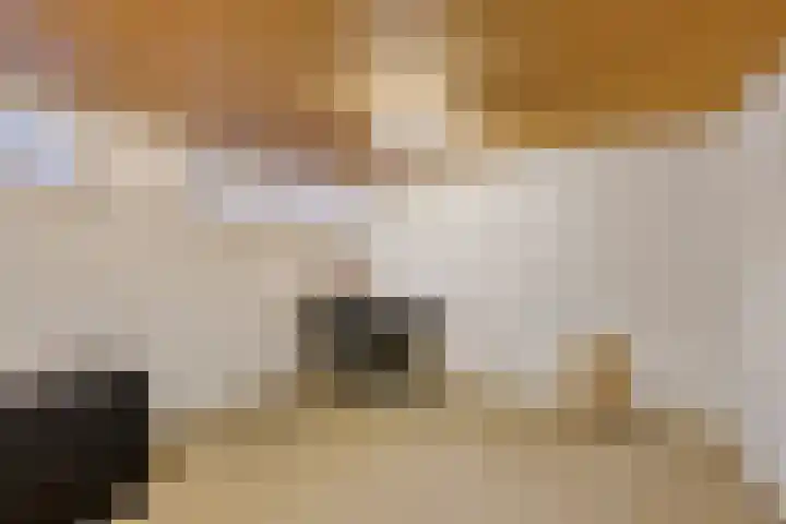 Beukenlaan 11 Venray thumbnail 24