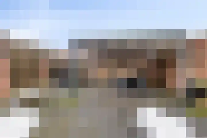 Beukenlaan 11 Venray thumbnail 27