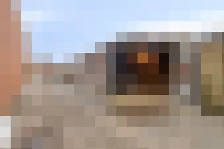 Beukenlaan 11 Venray thumbnail 30