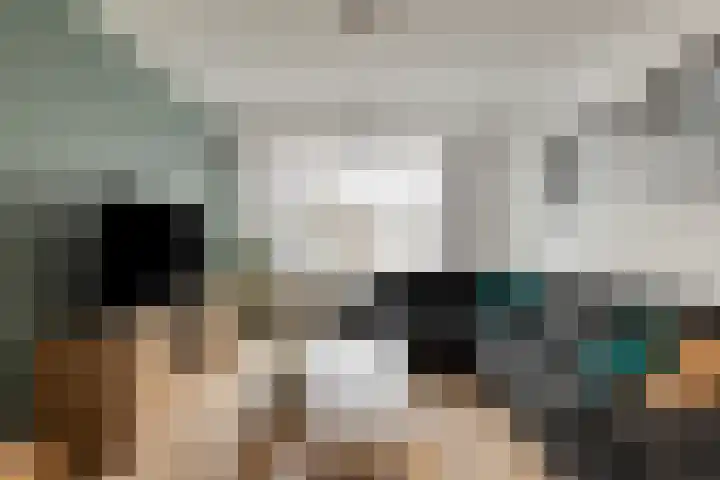 Beukenlaan 11 Venray thumbnail 4