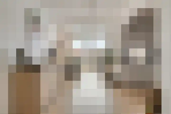 Beukenlaan 11 Venray thumbnail 6