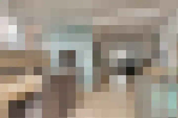 Beukenlaan 11 Venray thumbnail 9