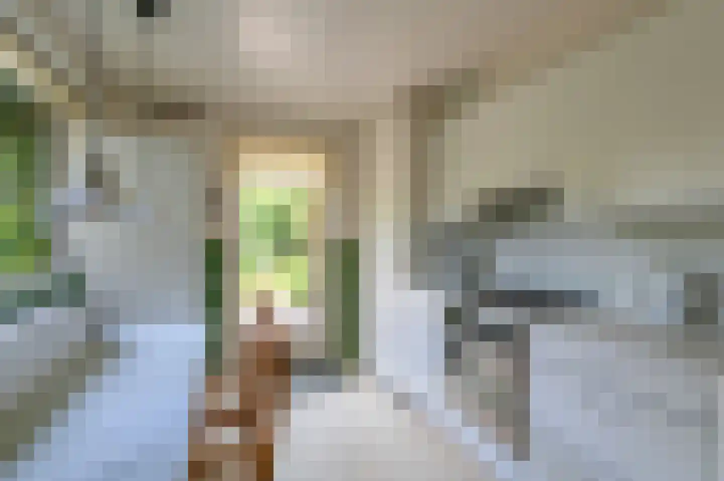 Beukenlaan 11 Waalre thumbnail 10