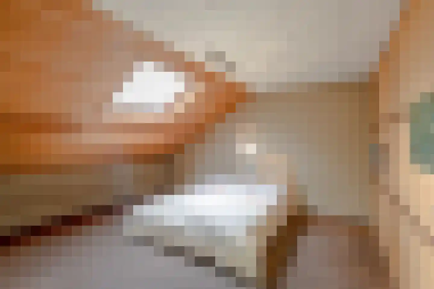 Beukenlaan 11 Waalre thumbnail 24