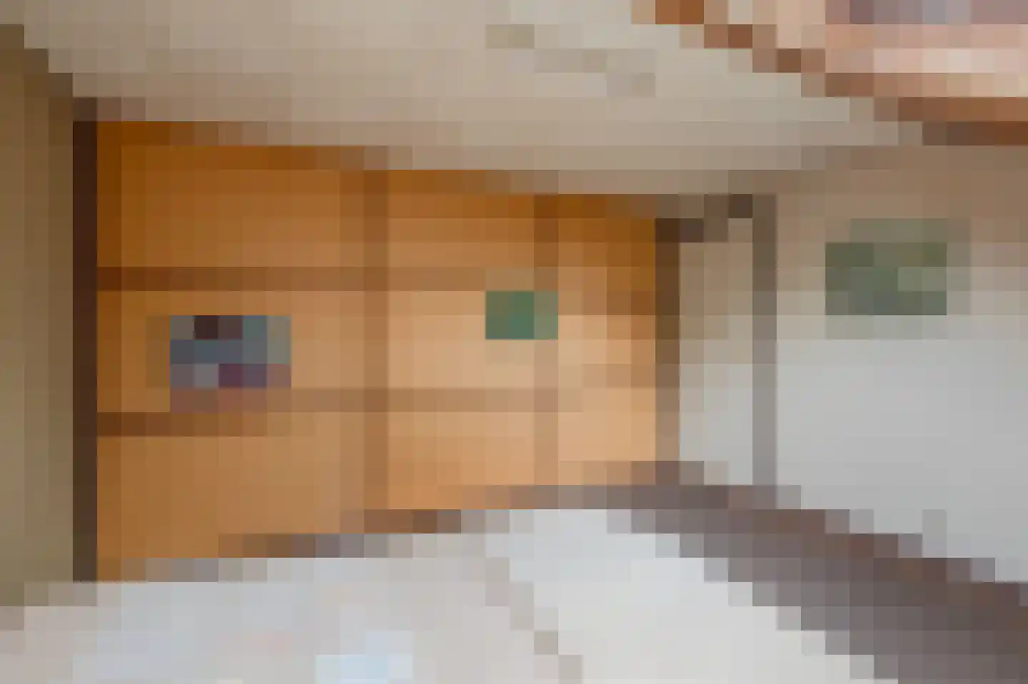 Beukenlaan 11 Waalre thumbnail 25