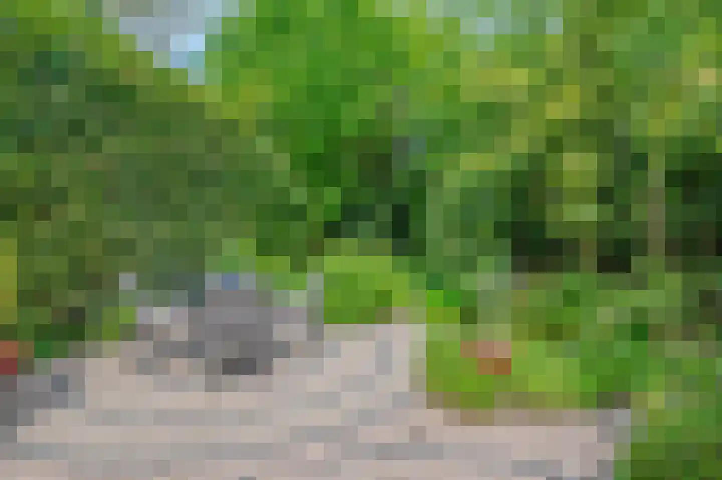 Beukenlaan 11 Waalre thumbnail 26
