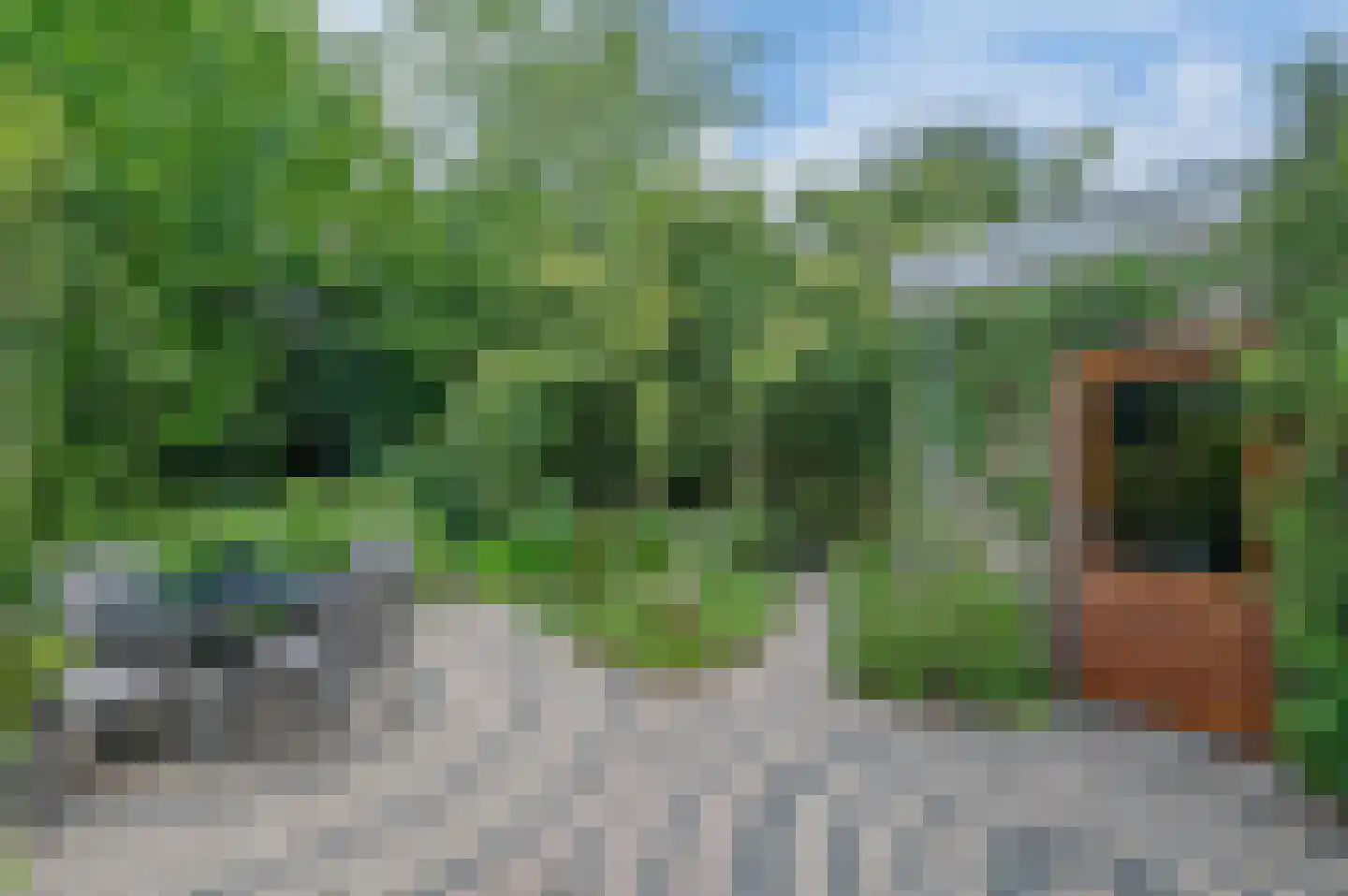 Beukenlaan 11 Waalre thumbnail 27