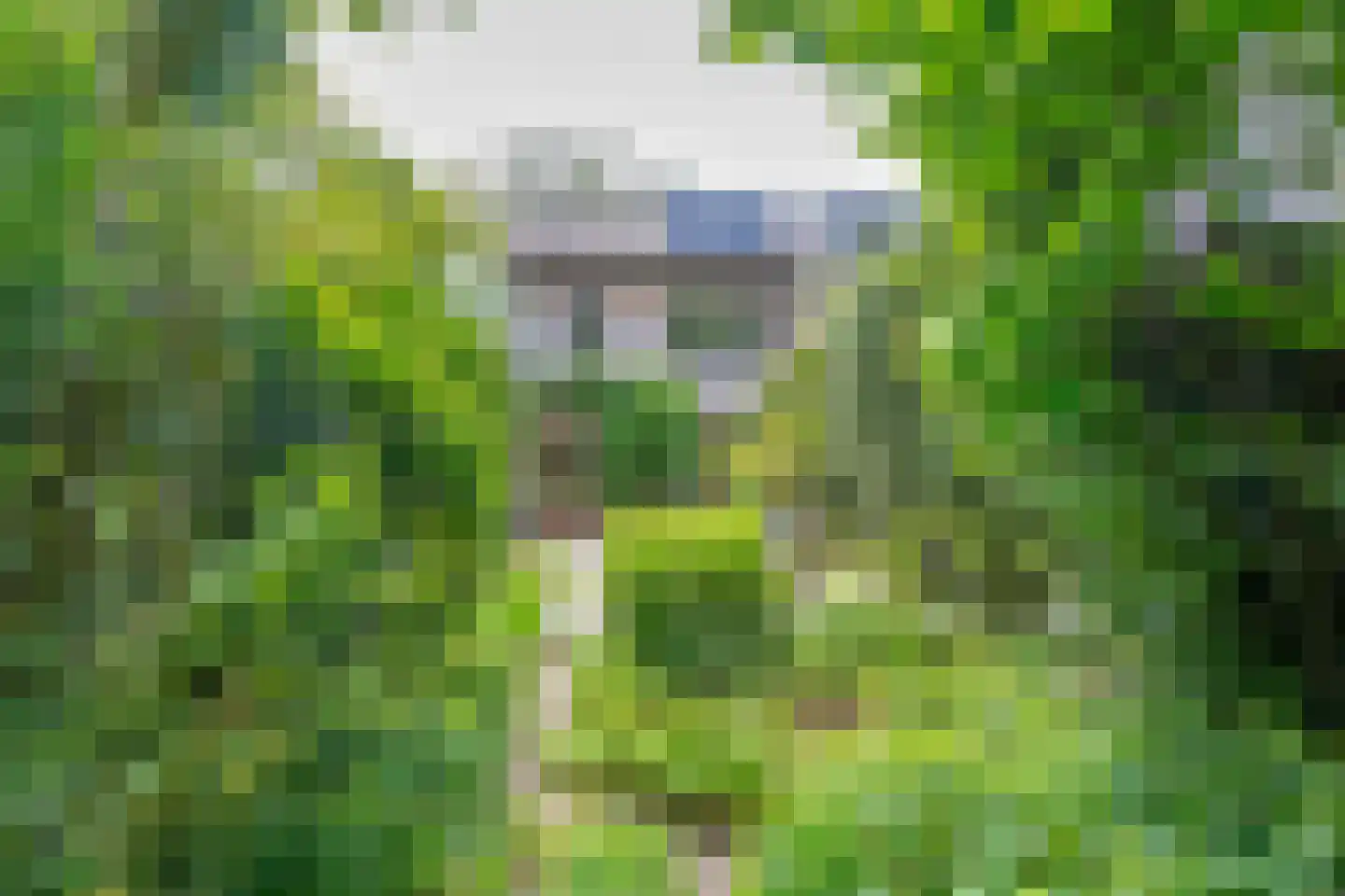 Beukenlaan 11 Waalre thumbnail 28
