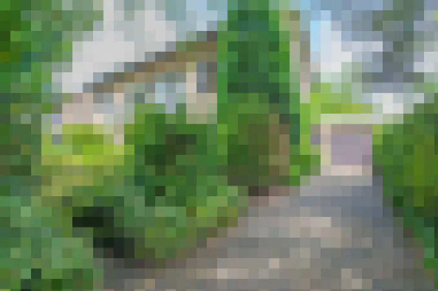 Beukenlaan 11 Waalre thumbnail 31