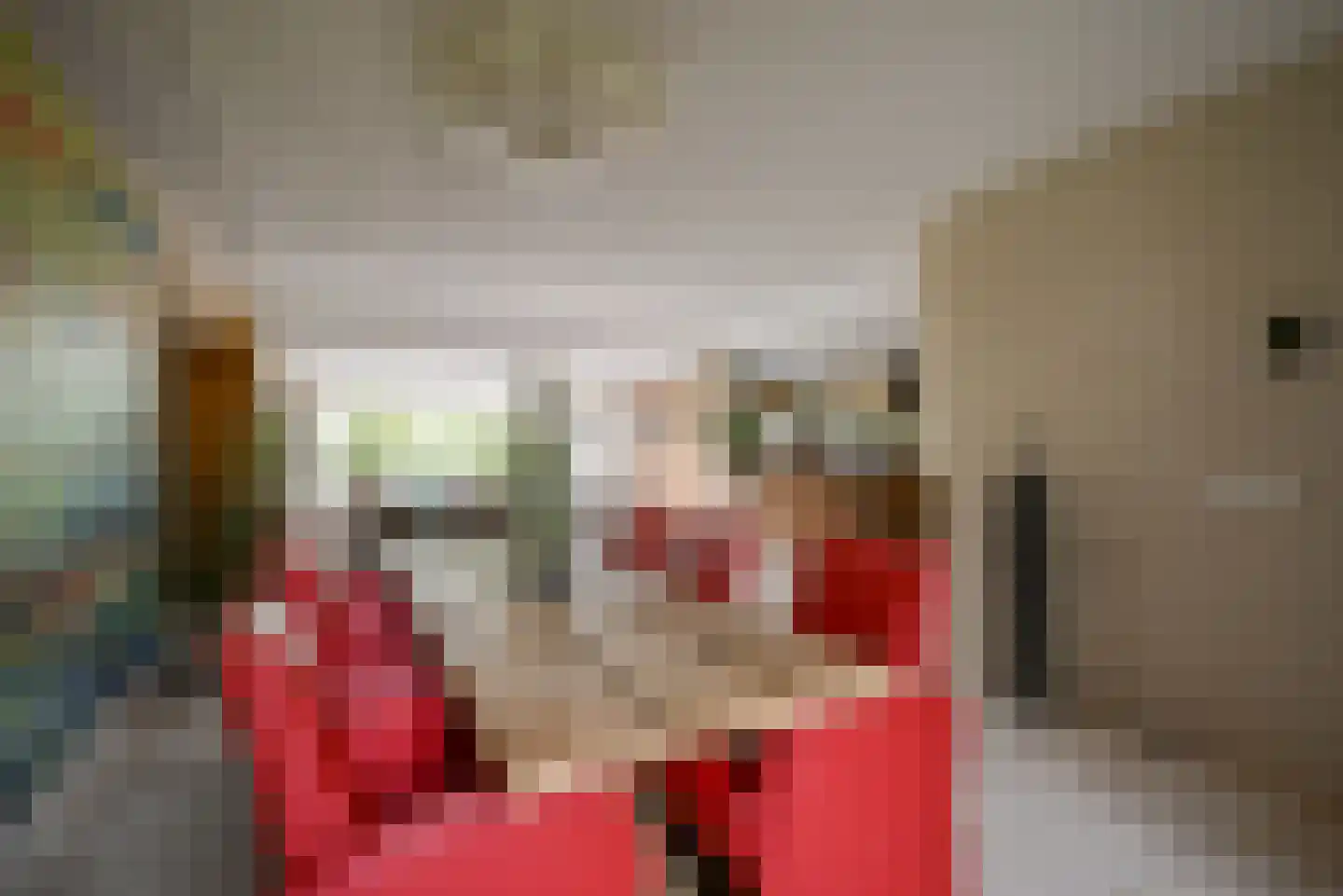 Beukenlaan 115 Bleiswijk thumbnail 11